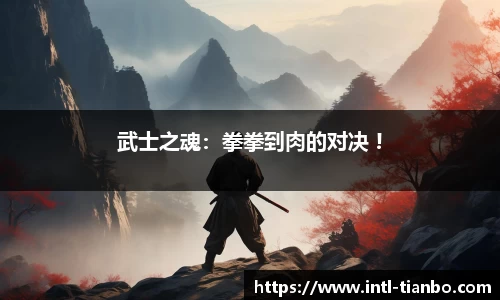 武士之魂：拳拳到肉的对决 !